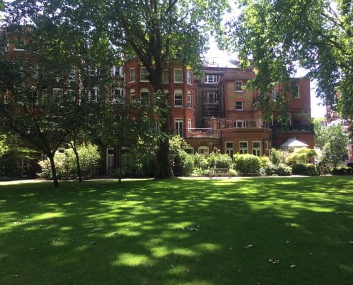 Communal Gardens