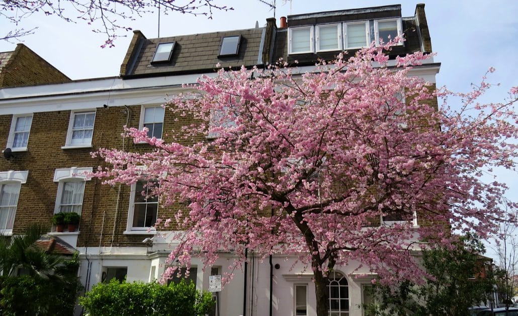 march london