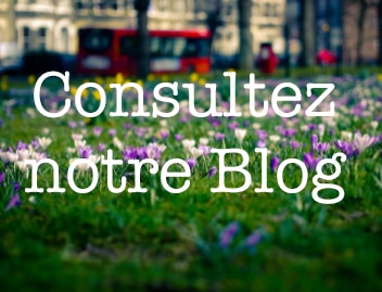 Consultez notre blog